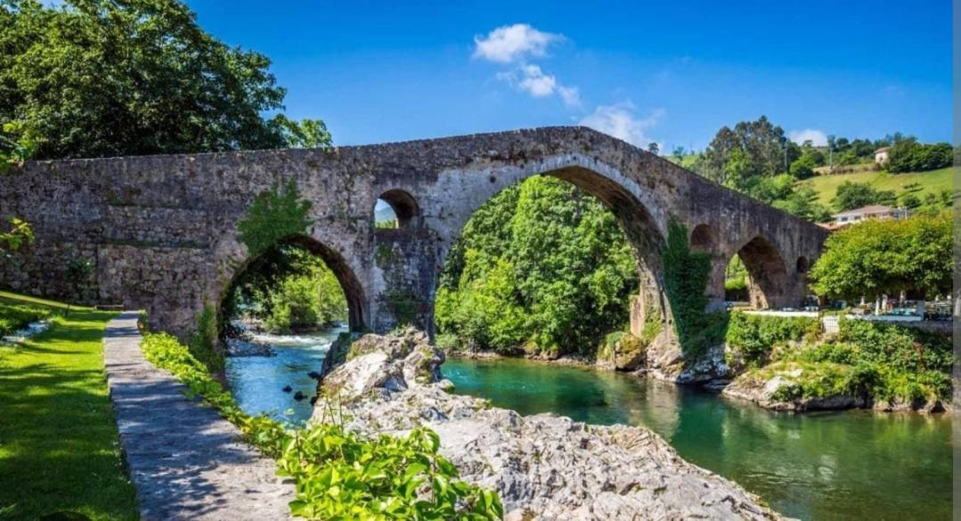 La Salmonera Cangas De Onis Caño المظهر الخارجي الصورة