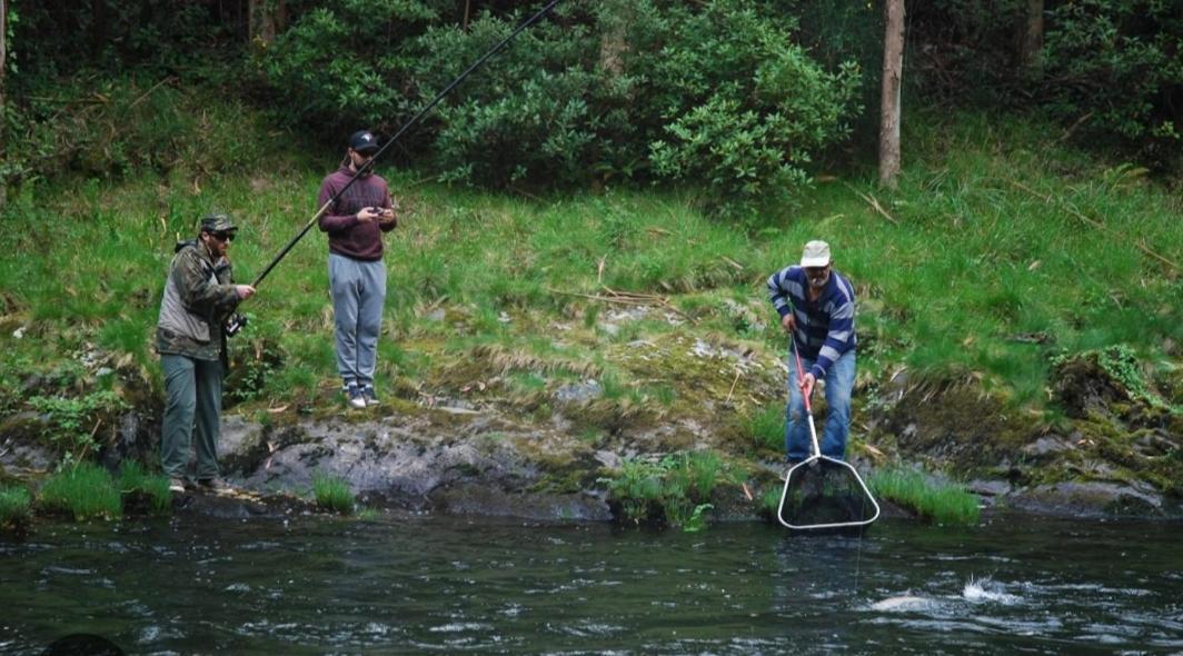 La Salmonera Cangas De Onis Caño المظهر الخارجي الصورة