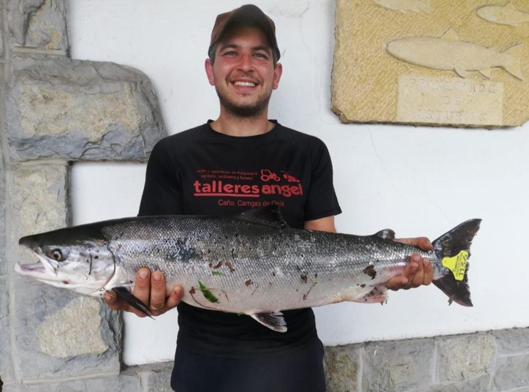 La Salmonera Cangas De Onis Caño المظهر الخارجي الصورة